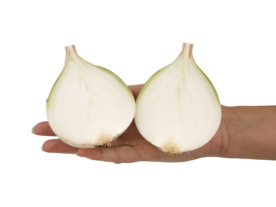 Партнер Лук репчатый КОМЕТА F1 ^(0,5г), изображение 3