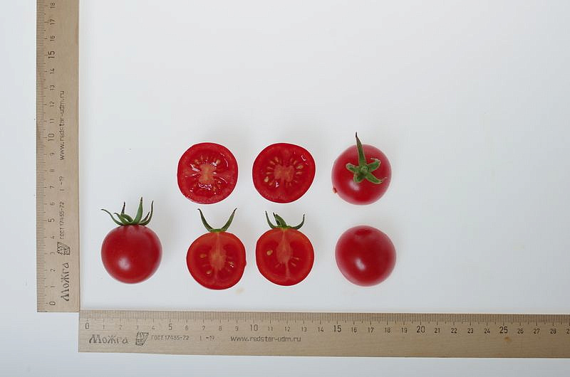 Партнер Томат ДИРИЖЕР F1 ^(10шт) 2-ной пак, изображение 5