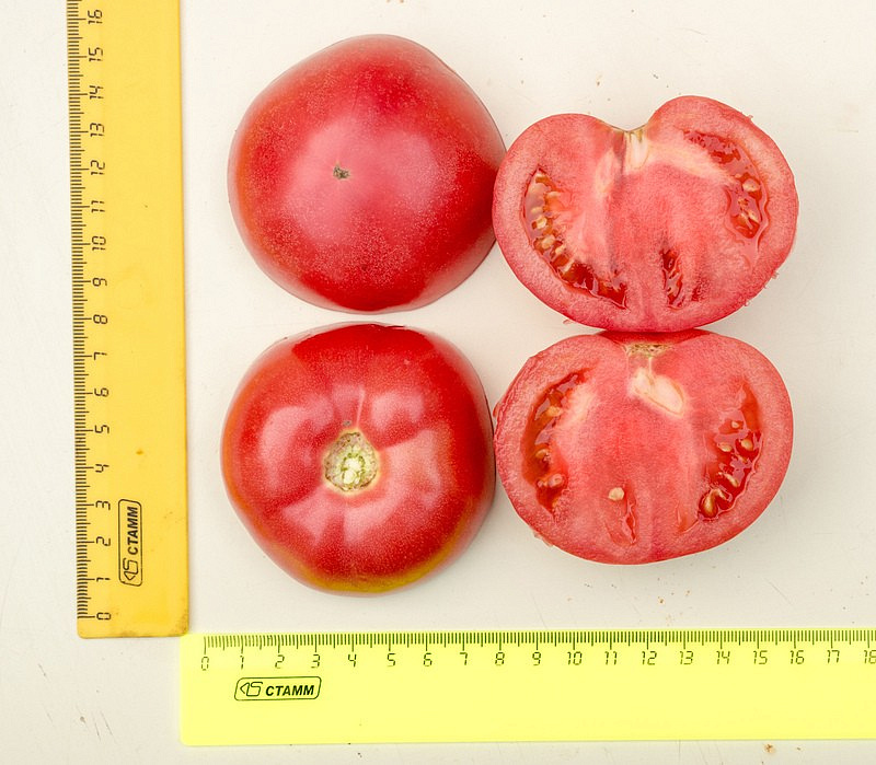Партнер Томат ЭВОЛЮЦИЯ F1 ^(10шт) 2-ной пак, изображение 2