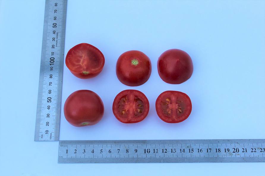 Партнер Томат МАЛИНОВЫЙ КОКТЕЙЛЬ F1 ^(5шт) 2-ной пак, изображение 3