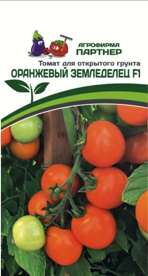 Партнер Томат ЧЕРРИ ОРАНЖЕВЫЙ ЗЕМЛЕДЕЛЕЦ F1 ^(0,05г) 2-ной пак, изображение 6
