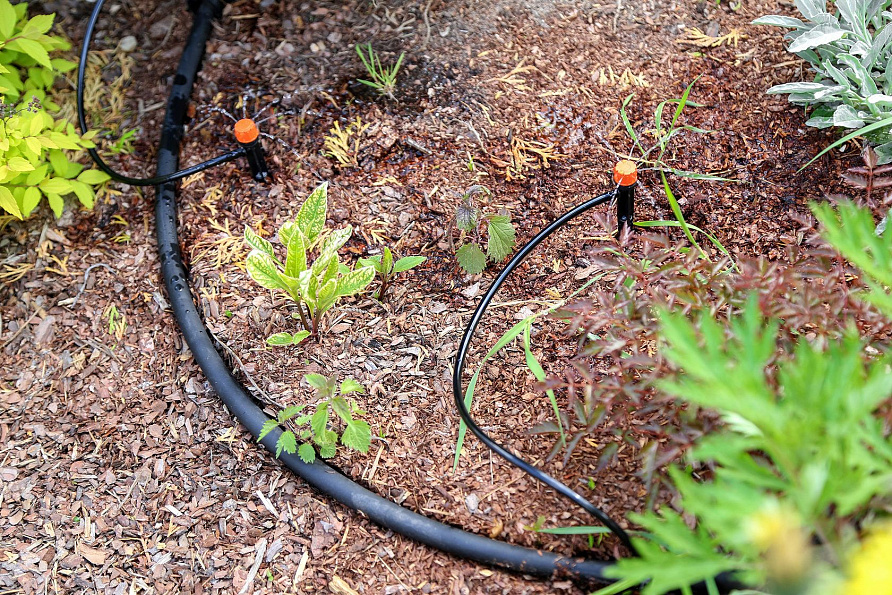 Микродождевой полив кустарников и деревьев Жук 40 растений, изображение 5