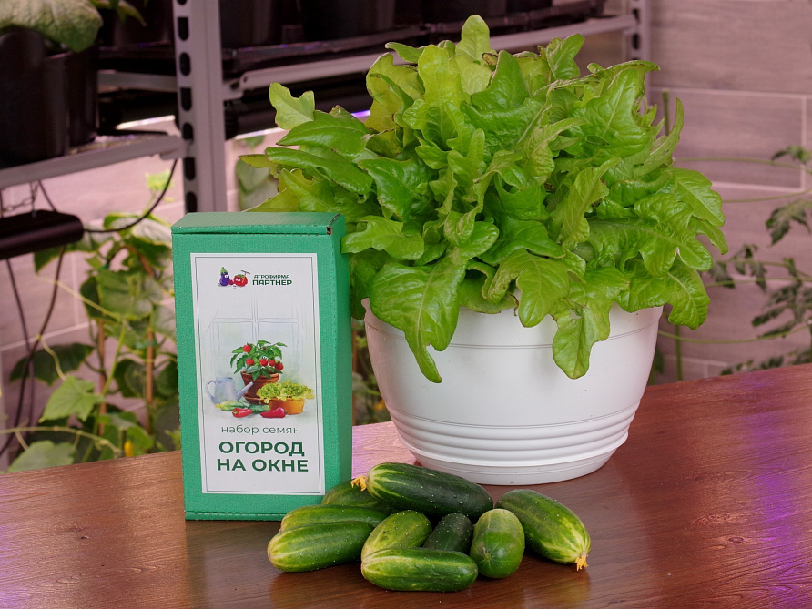 Подарочный набор «Огород на окне», изображение 4