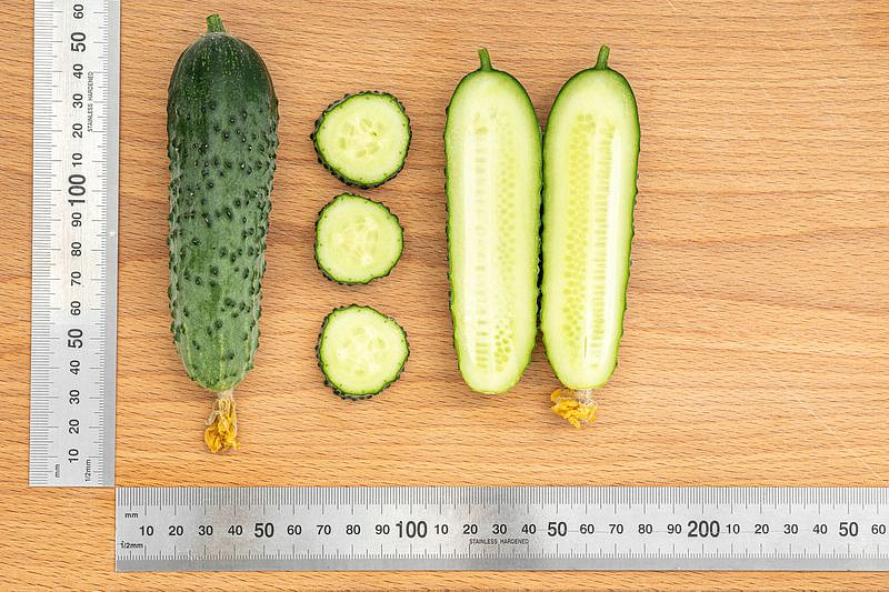 Партнер Огурец ГЕРМАН F1 ^(5шт), изображение 6