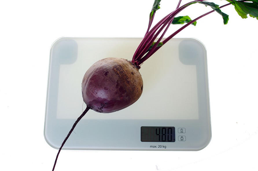 Партнер Свекла столовая ПАБЛО F1 ^(1г), изображение 1