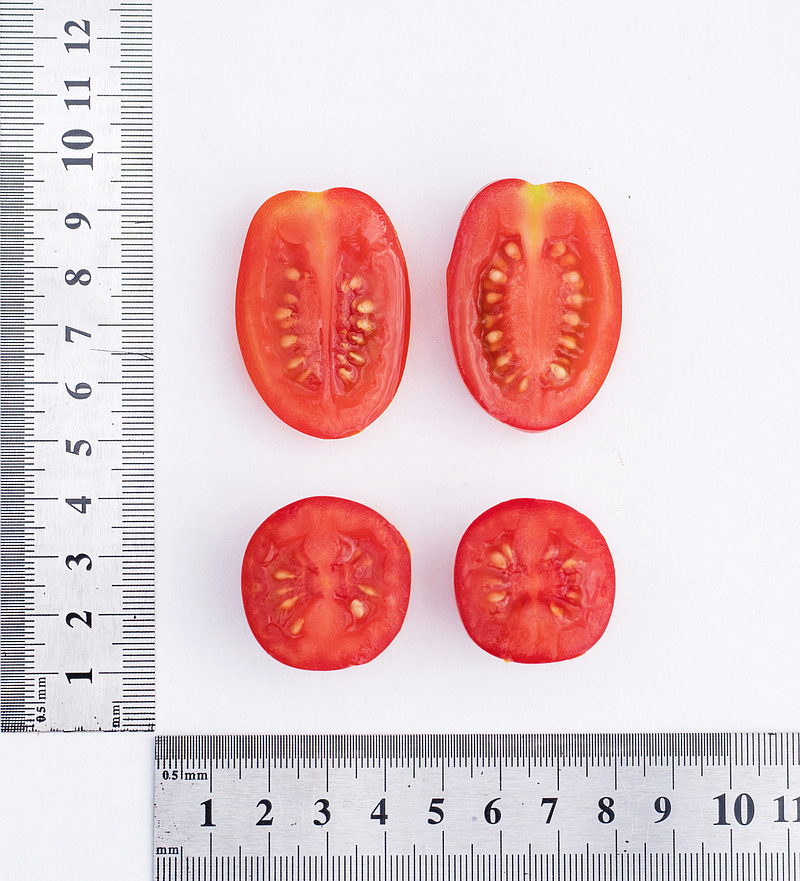 Партнер Томат ЧЕРРИ ВАШЕ БЛАГОРОДИЕ F1 ^(5шт) 2-ной пак, изображение 2