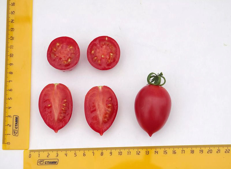 Партнер Томат МАЛИНОВОЕ ПЛАМЯ F1 ^(10шт) 2-ной пак, изображение 5