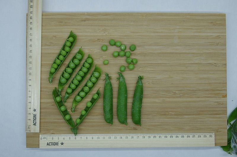 Партнер Горох овощной ПРЕМИУМ ^(25шт), изображение 5