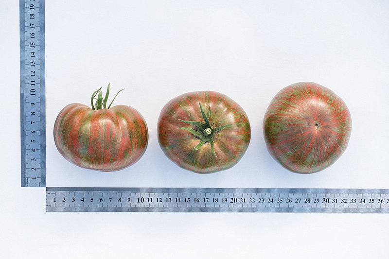 Партнер Томат ПОЛОСАТЫЙ ШОКОЛАД ^(10шт) 2-ной пак, изображение 2