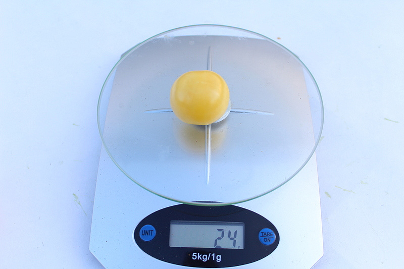 Партнер Томат ДОКТОР КЭРОЛИН ^(10шт) 2-ной пак, изображение 3