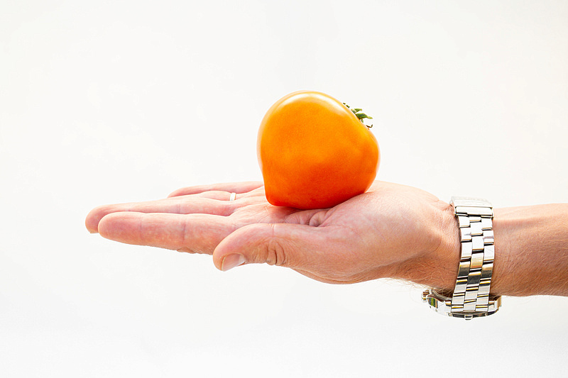 Партнер Томат ЗОЛОТАЯ МИЛЯ F1 ^(0,05г) 2-ной пак, изображение 1