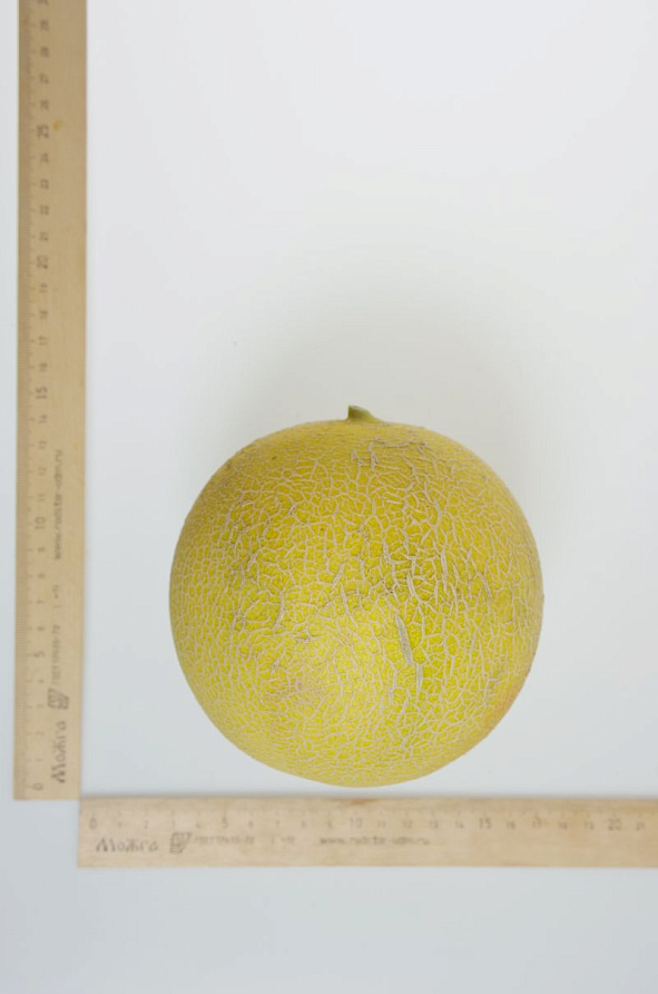 Партнер Дыня АМИНА F1 ^(5шт), изображение 2