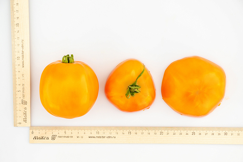 Партнер Томат ТРОПИКАНКА ^(0,05г) 2-ной пак, изображение 5