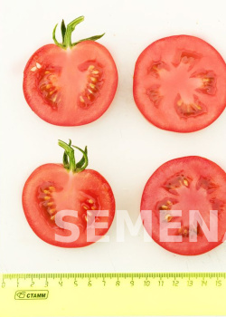 Партнер Томат ЛИРИКА F1 ^(0,1г) 2-ной пак фото 5