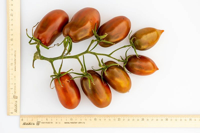 Партнер Томат БУРАЯ ГРОЗДЬ F1 ^(10шт) 2-ной пак, изображение 5