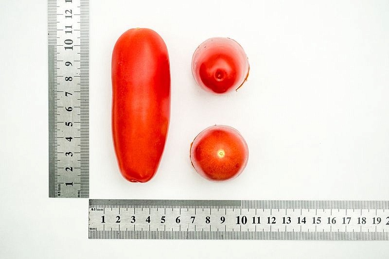 Партнер Томат ДАМСКИЙ КАПРИЗ F1 ^(10шт) 2-ной пак, изображение 2