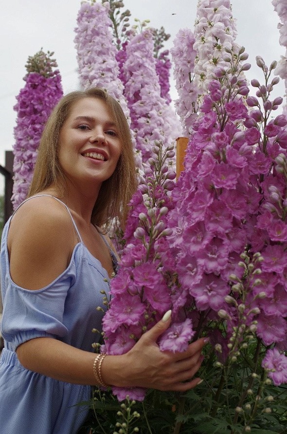 Партнер Дельфиниум F1 новозеландский ПИНК ПУНШ ^(3шт), изображение 2