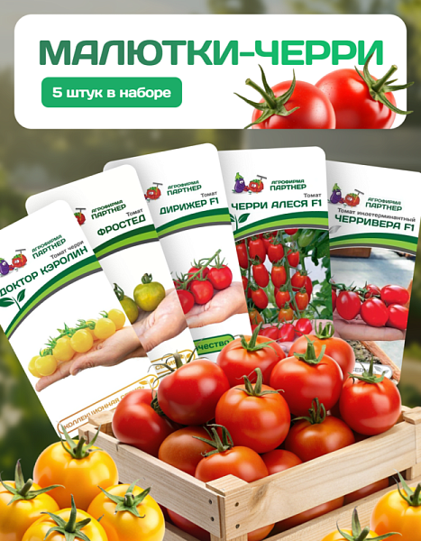Партнер Набор МАЛЮТКИ-ЧЕРРИ^ (1шт)