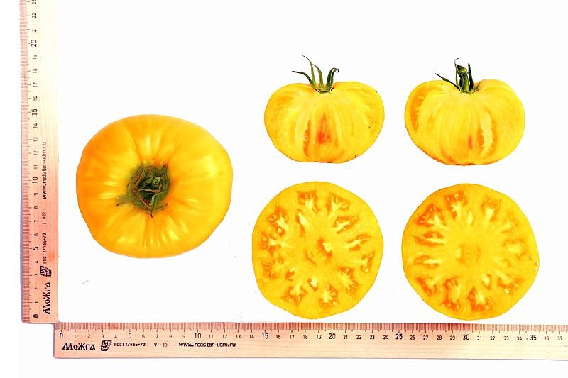 Партнер Томат ПРЕЛЕСТЬ РОУЗЫ ^(10шт) 2-ной пак, изображение 4