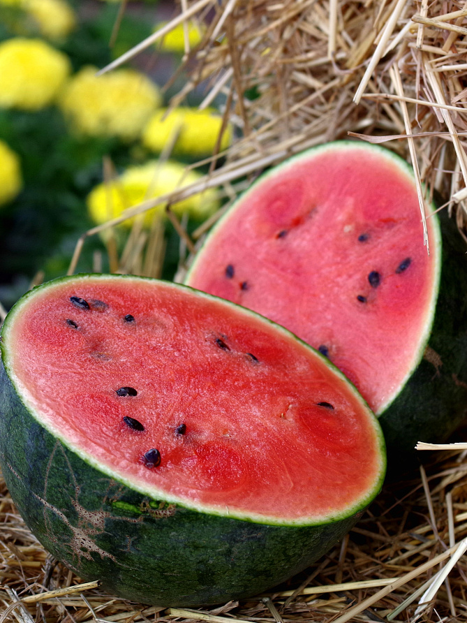 Партнер Арбуз ДИНАМИТ F1 ^(5шт) 2-ной пак, изображение 1