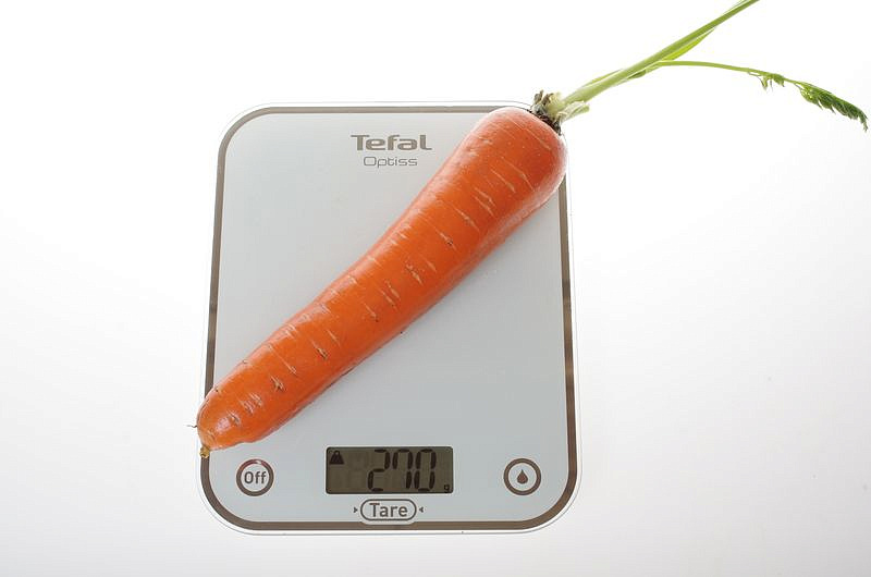 Партнер Морковь ДАРИНА ^(1г), изображение 1