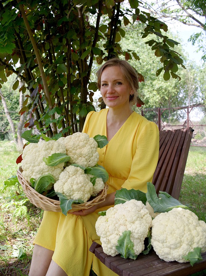 Партнер Капуста цветная УАЙТ ЭКСЕЛ F1 ^(10шт в амп), изображение 1