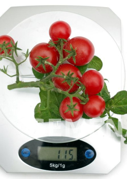 Партнер Томат БАЛКОННОЕ ЧУДО (красный) ^(0,05г) 2-ной пак фото 5