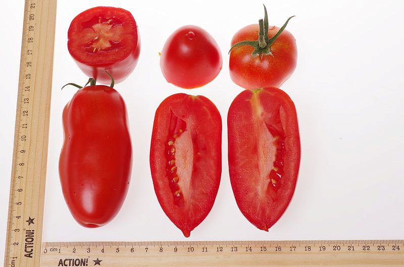 Партнер Томат ЦАРСКОЕ ИСКУШЕНИЕ F1 ^(10шт) 2-ной пак, изображение 4