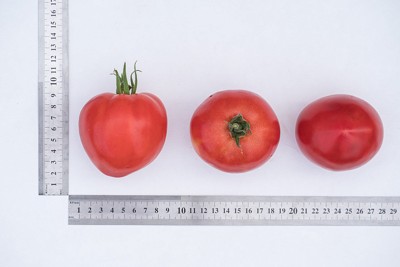 Партнер Томат ДЕМЕТРА F1 ^(10шт) 2-ной пак, изображение 3