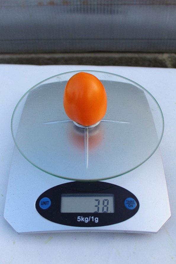 Партнер Томат ВЕРСАЛЬ F1 ^(10шт) 2-ной пак, изображение 2