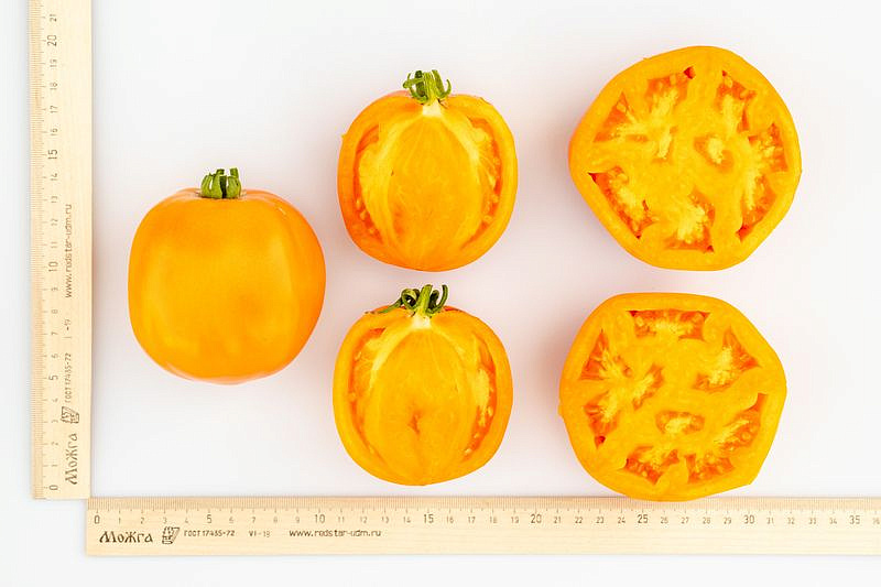 Партнер Томат ТРОПИКАНКА ^(0,05г) 2-ной пак, изображение 4