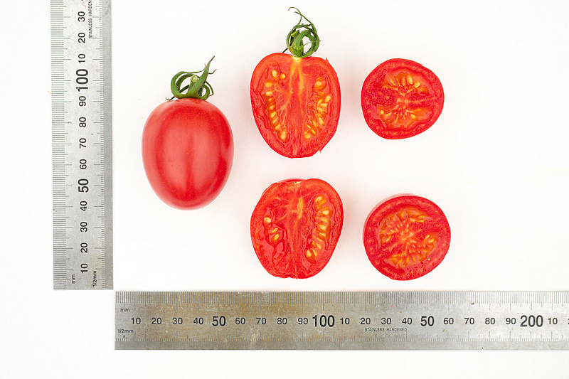 Партнер Томат МОНЕ F1 ^(10шт) 2-ной пак, изображение 6