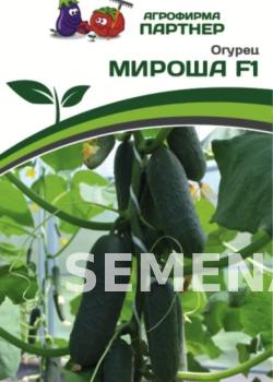 Партнер Огурец МИРОША F1 ^(10шт) фото 6