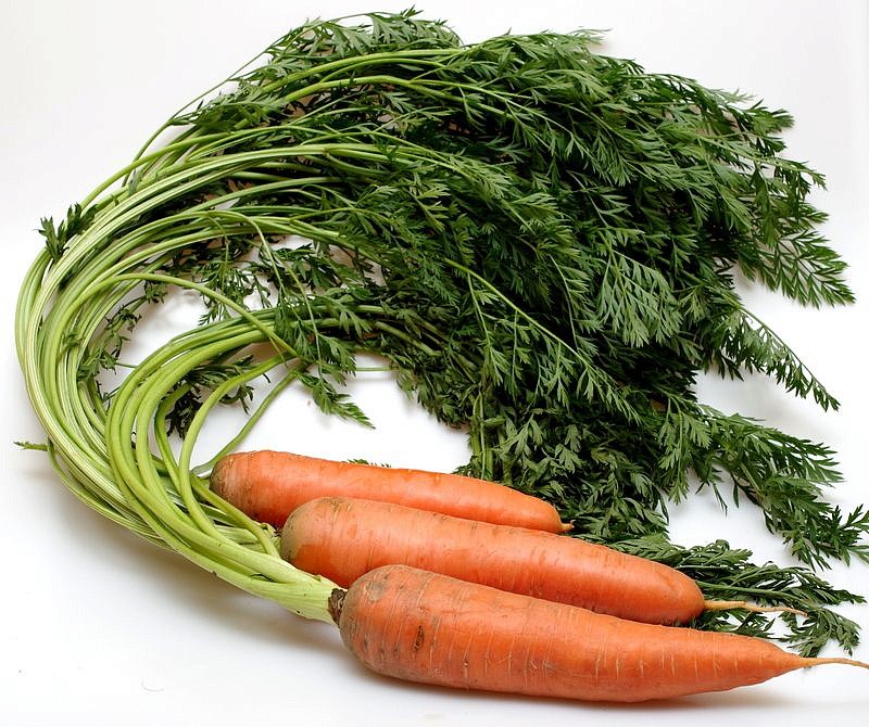 Партнер Морковь КАНАДА F1 ^(0,5г), изображение 4