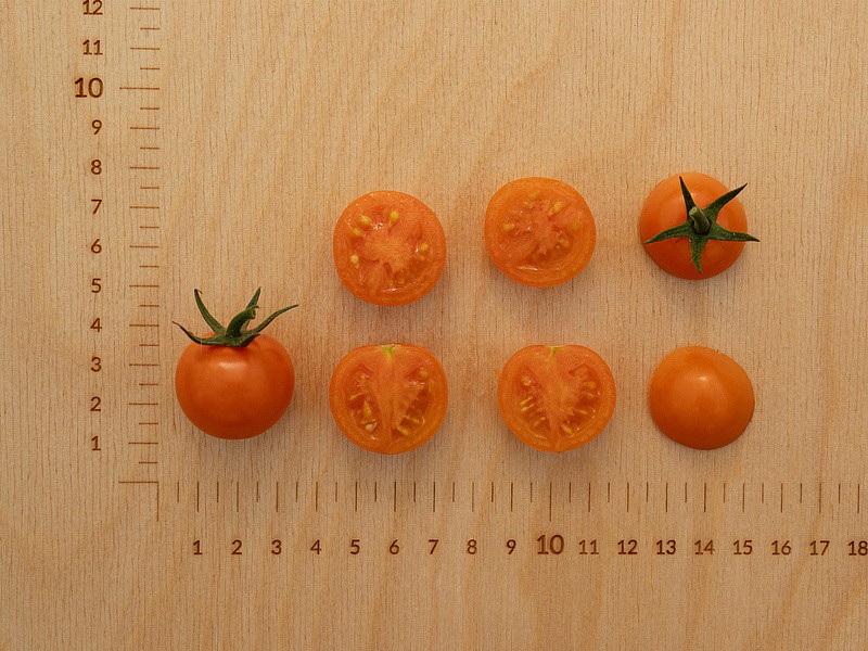 Партнер Томат РЫЖИЙ ФЕРМЕР F1 ^(5шт) 2-ной пак, изображение 5