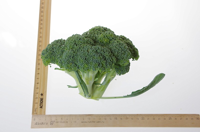 Партнер Капуста брокколи БАТАВИЯ F1 ^(10шт в амп), изображение 3