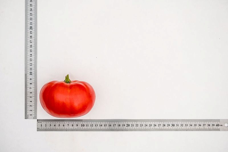 Партнер Томат ДЕРЕВЕНСКИЙ F1 ^(10шт) 2-ной пак, изображение 3