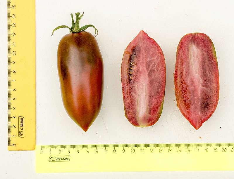 Партнер Томат БУРАЯ ГРОЗДЬ F1 ^(10шт) 2-ной пак, изображение 9