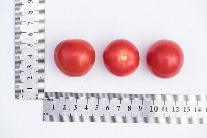 Партнер Томат ЧЕРРИ ЛЮБА F1 ^(5шт) 2-ной пак, изображение 2