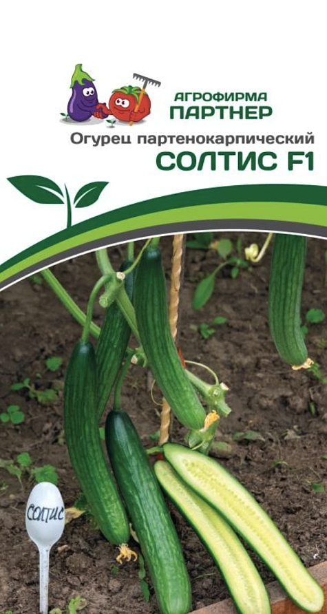 Партнер Огурец СОЛТИС F1 ^(5шт), изображение 3