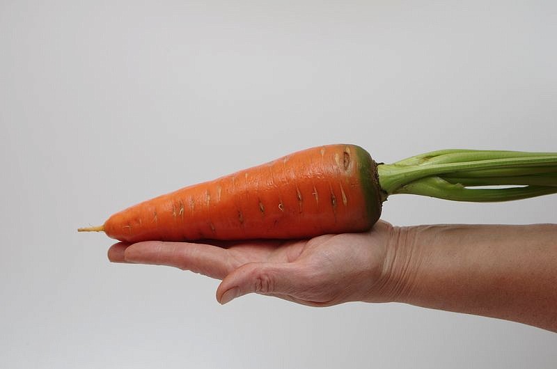 Партнер Морковь РЕД КОР ^(1г), изображение 1