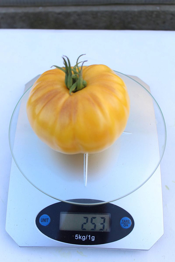 Партнер Томат КРЕМ ТОРТ ^(0,05г) 2-ной пак, изображение 4