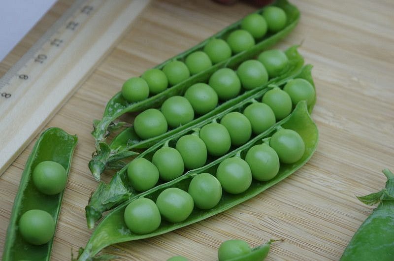 Партнер Горох овощной ПРЕМИУМ ^(25шт), изображение 4