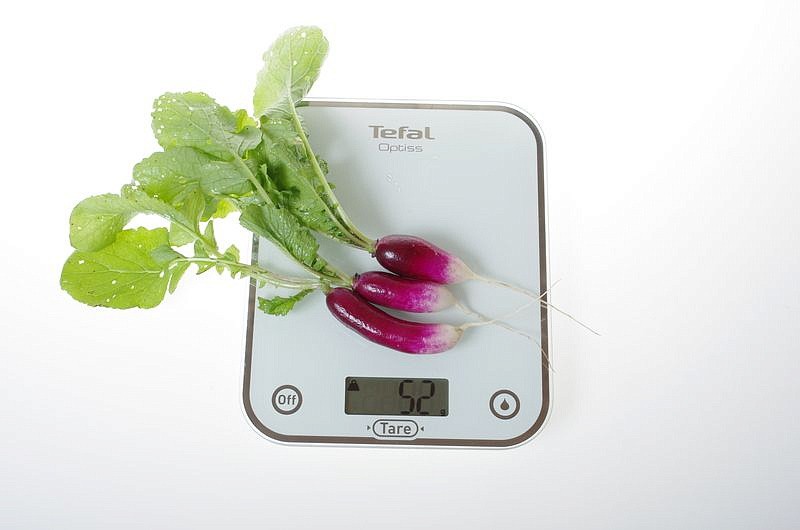 Партнер Редис КЛЕОПАТРА ^(2г), изображение 1