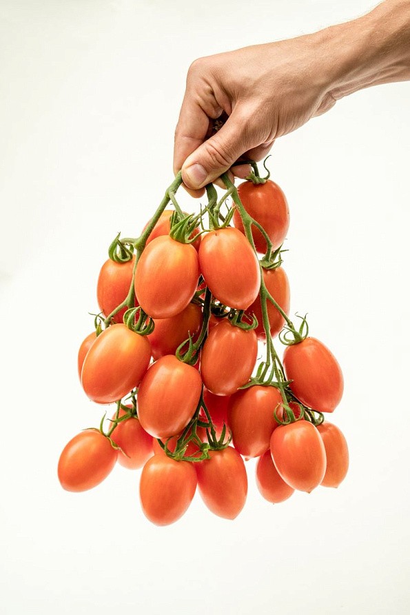 Партнер Томат ПЛАМЯ F1 ^(10шт) 2-ной пак, изображение 1