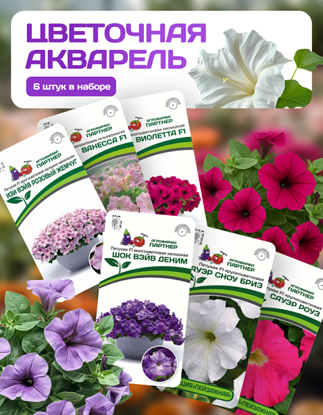 Партнер Набор ЦВЕТОЧНАЯ АКВАРЕЛЬ^ (1шт)