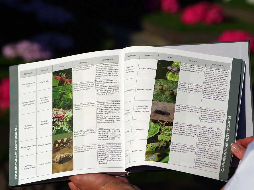 Ежедневник "Ежедневно с Партнером", изображение 1