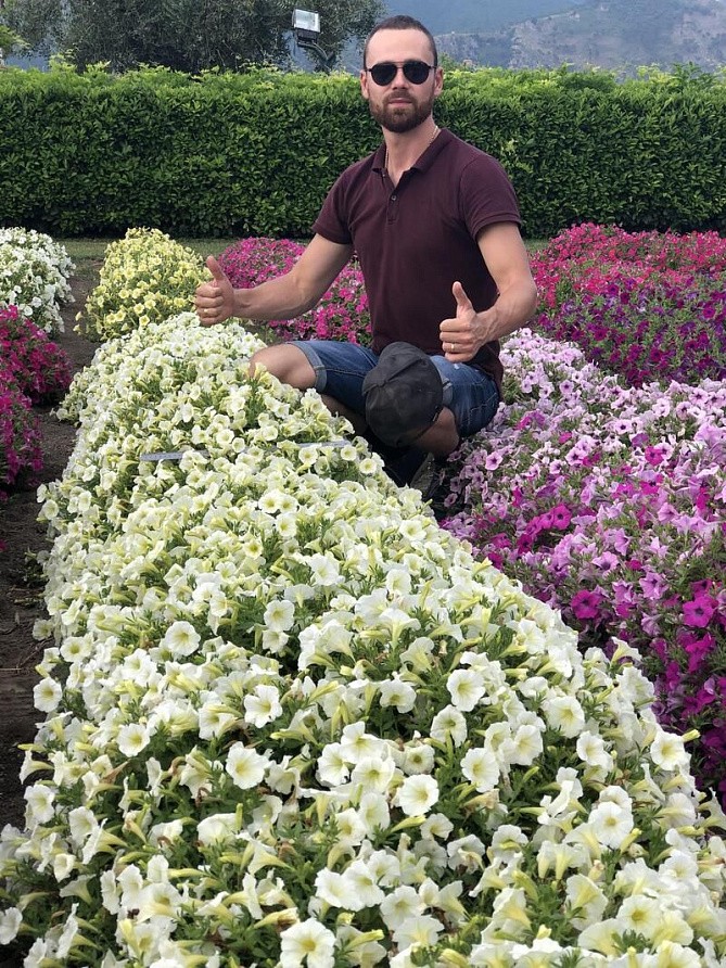 Партнер Петуния серия "Лагуна" АНЖЕЛАЙН F1 /многоцветковая (мини) каскадная лайм ^(5шт в амп), изображение 1