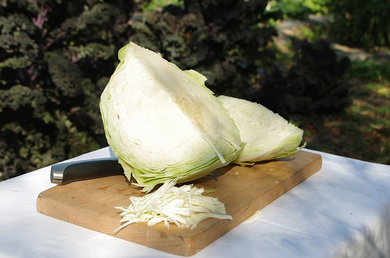 Партнер Капуста б/к КОЛОБОК F1 ^(0,2г в амп), изображение 3