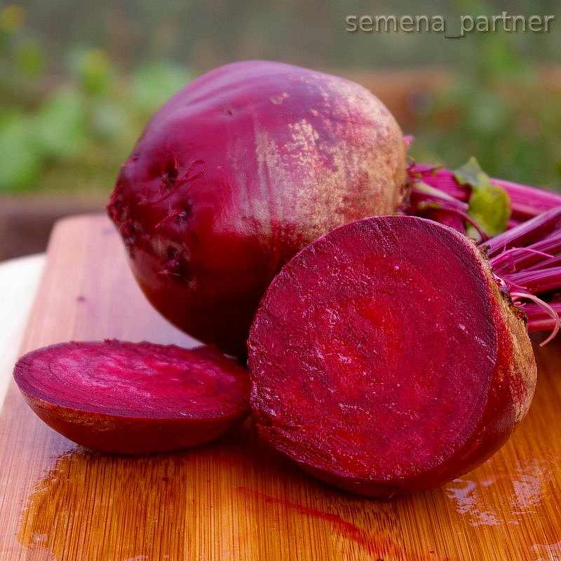 Партнер Свекла столовая КЕСТРЕЛ F1 ^(1г), изображение 6